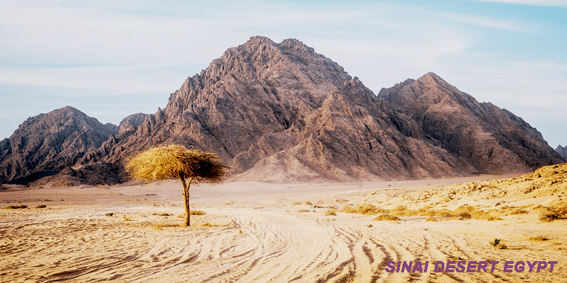 Deserts of Egypt